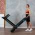 Беговая дорожка Oxygen Fitness SCANDIUM A Беговая дорожка Oxygen Fitness SCANDIUM A
