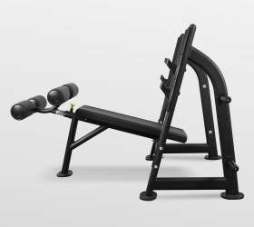 Скамья для жима с отрицательным наклоном Bronze Gym BR-1013