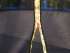 Батут с сеткой Winner Classic 10 ft (305 см)