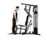 Силовой комплекс DFC HomeGym D5125 стек 85.5 кг