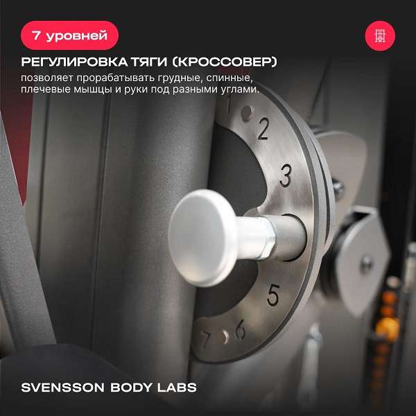 Силовой комплекс Svensson Body Labs RIGEL PLUS PRO