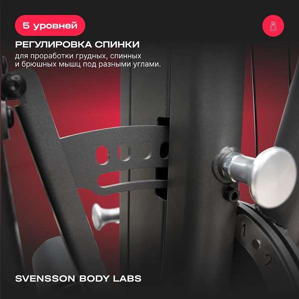 Силовой комплекс Svensson Body Labs RIGEL PLUS PRO