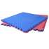 Буто мат DFC сине-красный ППЭ-2040
